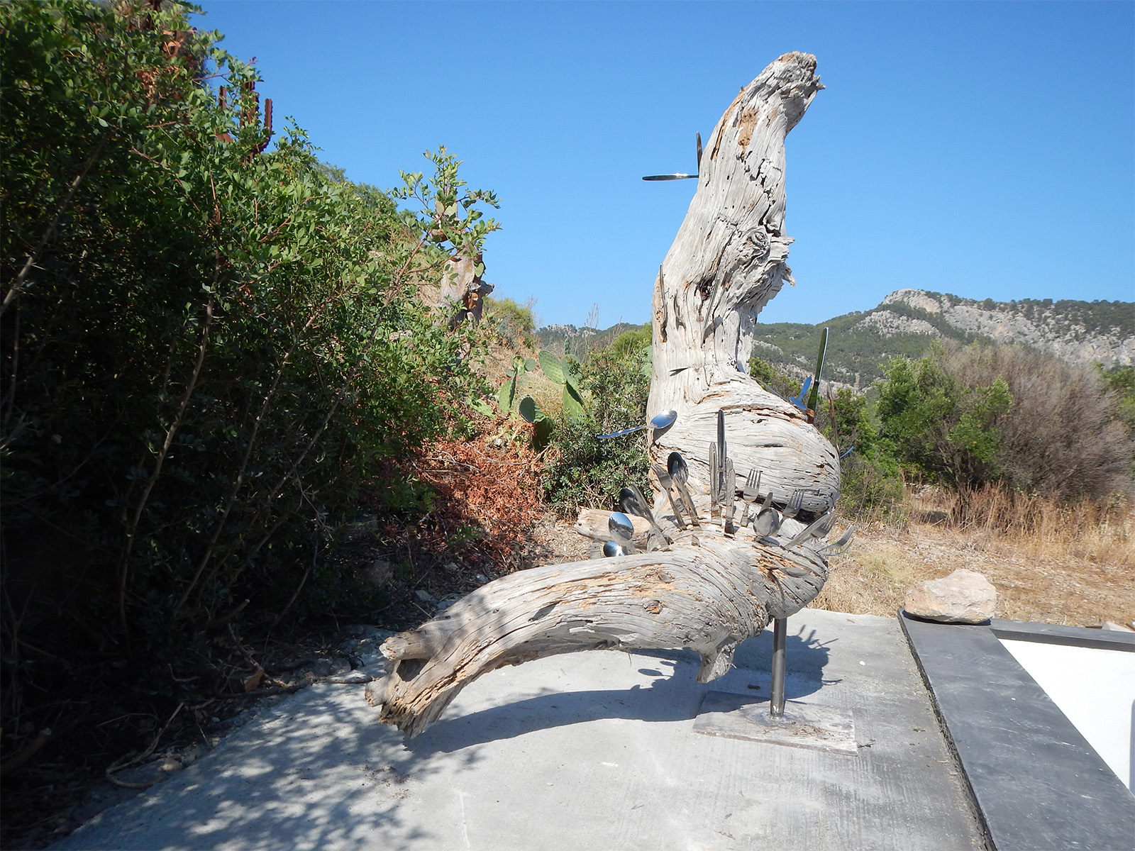 Dritwood Sculpture by degroeger